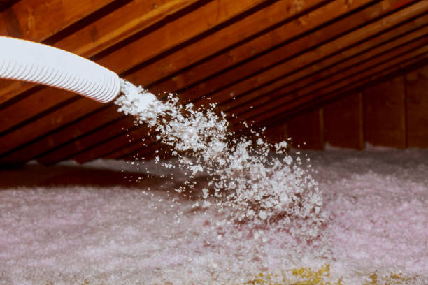 Best Soundproof Insulation Installation  in Honea Path, SC