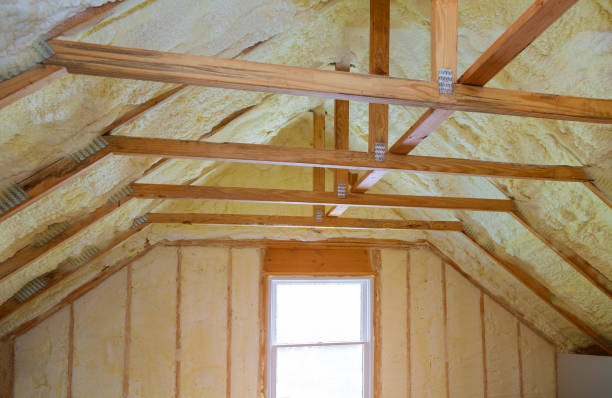 Best Insulation Contractor Near Me  in Honea Path, SC