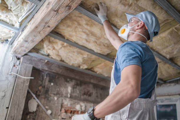 Best Insulation for Commercial Buildings  in Honea Path, SC