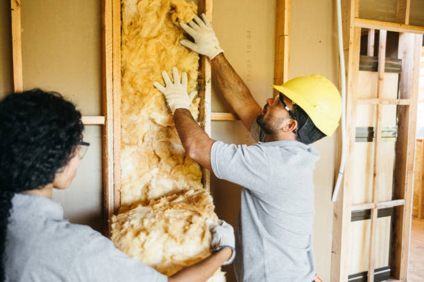 Best Best Insulation Companies  in Honea Path, SC