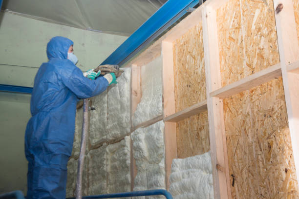 Best Insulation Contractors for Homes  in Honea Path, SC